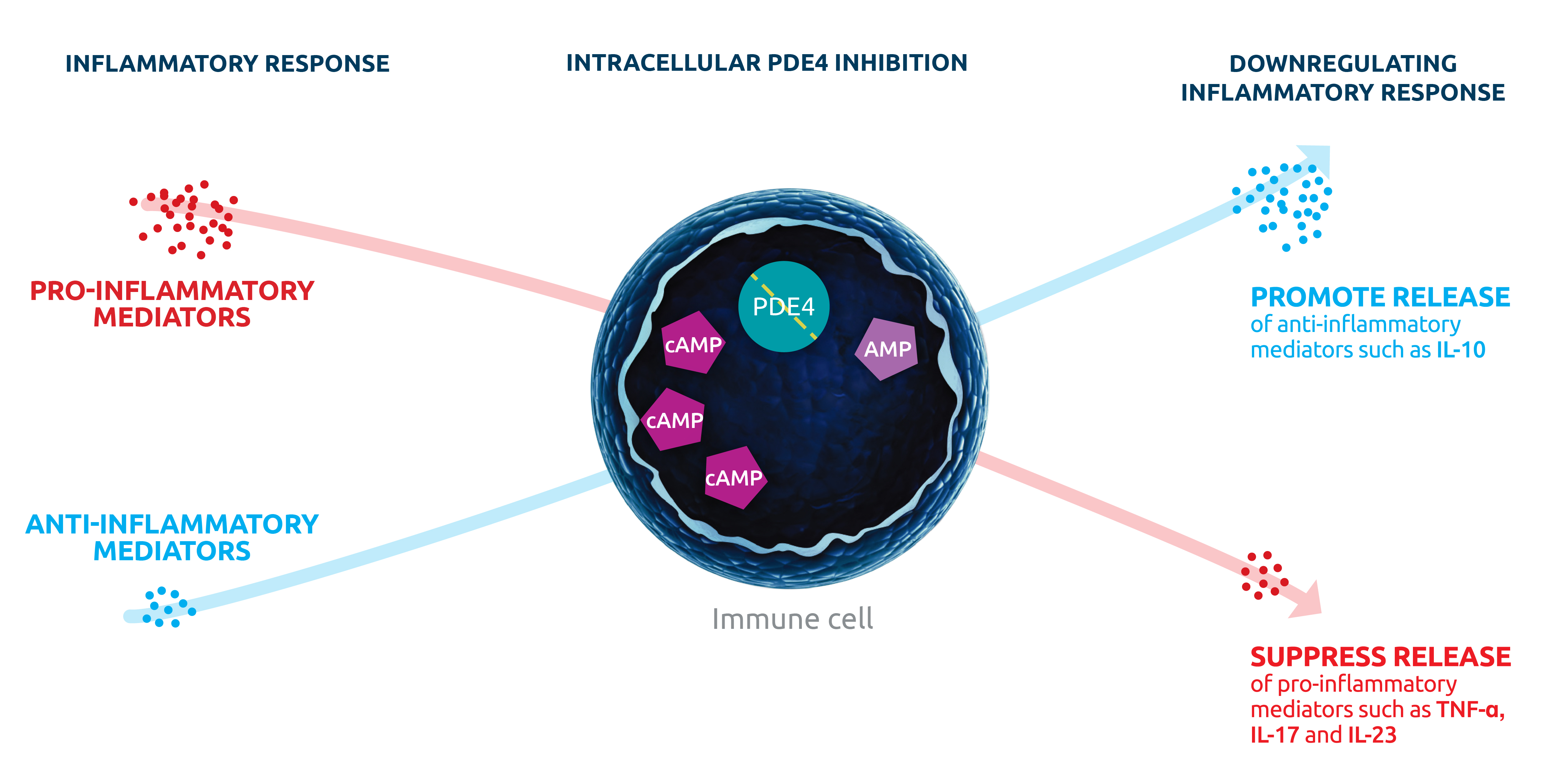 immune-cell.svg